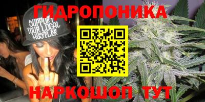 ГАЛЛЮЦИНОГЕННЫЕ ГРИБЫ Усть-Джегута