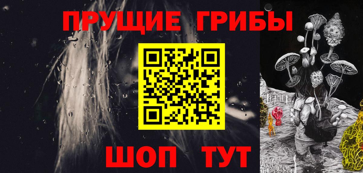 Галлюциногенные грибы Psilocybine cubensis Благодарный